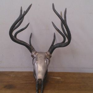 Meet your Posher, Derek super